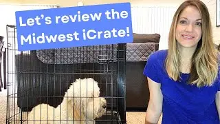 Amazon Must-Have: MidWest Homes iCrate Folding Metal Dog Crate [Best Dog Crate]