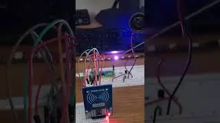 Raspberry Pi Pico - RFID activated LED Lights and Music - Fun Beginner Projects 