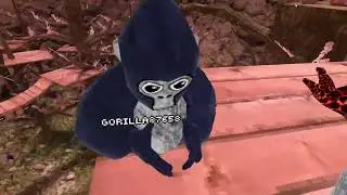 Breaking window glass troll