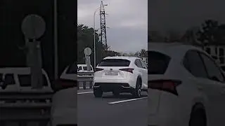 дальнобойщикам не повезло