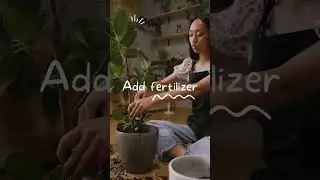 How to take care of your plants