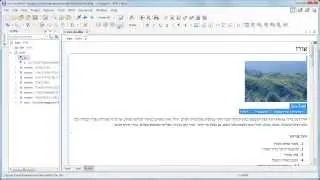 The Bidirectional Editing Support in oXygen XML Editor 15.1