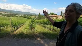 Sabina at Montemelino Talks about her Vineyard Layout