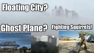 Squirrel fight, floating city and naked Russian