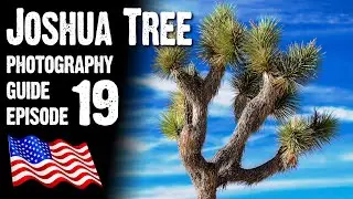 JOSHUA TREE NATIONAL PARK - Landscape Photography USA, California