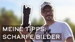 Meine Tipps & Tricks für scharfe Bilder (Hunde Fotografie)