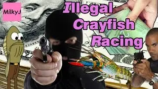 Underground Crayfish Racing - A Milkumentary