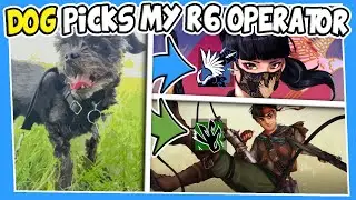 Dog Picks My Siege Operators (Rainbow 6 Siege)