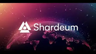 Join the Shardeum Network: Become a Validator Node in a Few Steps