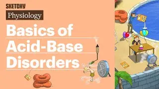 Basics of Acid-Base Disorders (Physiology) | Sketchy Medical