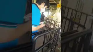 Kepo dengan wajah baru Taman mini Indonesia Indah.