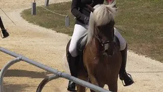 IPZV, DIM Neuler 2023 (WR), Mix inkl. Speed Pass, Islandpferde-Turnier Deutsche Meisterschaft