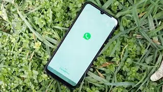 5 полезни и интересни трика за приложението WhatsApp