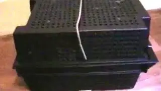 Автоматическая ловушка для животных,супер способ!