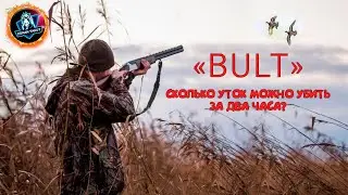 СКОЛЬКО УТОК МОЖНО НАСТРЕЛЯТЬ В ИГРЕ "BULT" ЗА ДВА ЧАСА БЕЗ ОПЫТА ИГРЫ?