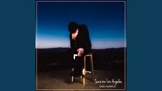 Save Me Los Angeles