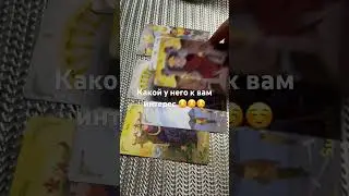 4 ноября 2023 г.