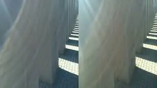 Qoocam EGO 3D test footage (2)