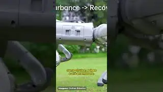 Treinamento extremo de robôs