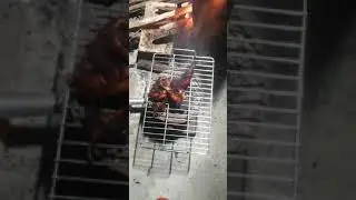 Tasty Chicken Lollipop - Home made Cooking #shorts