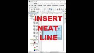 Neat Line in ArcGIS 