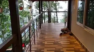 Stay in Chickmangalur resort and valley view