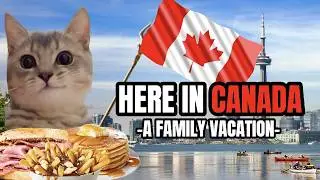 CAT MEMES: HERE IN CANADA!!!