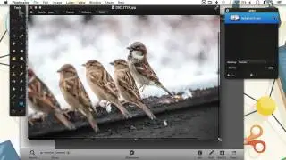 How to Use Pixelmator as an External Editor for iPhoto