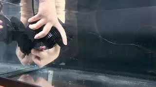 How  to install a wavemaker for your aquarium  | Upettools