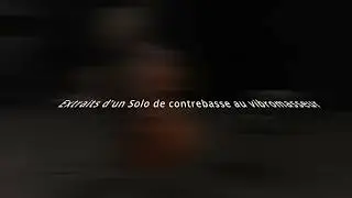 Solo au vibromasseur_Extraits