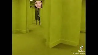 Stan Twitter: Eyes wide open giselle following someone on a yellow maze