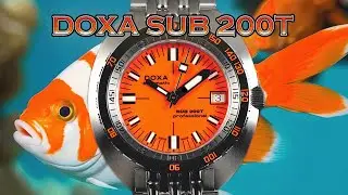 Finally a dive watch for smaller wrists? The Doxa Sub 200T Full Review! #doxa #divewatch #dive