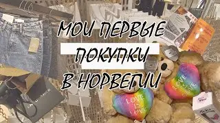 МОИ ПЕРВЫЕ ПОКУПКИ В НОРВЕГИИ/NORWAY/Lagunen Storsenter