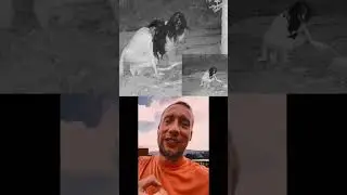 Падальщики чтоли ?