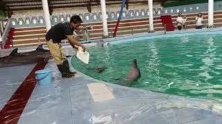 NONTON PERTUNJUKAN LUMBA-LUMBA DI PANTAI CAHAYA II LIBURAN