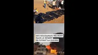 MORTS DANS LE DÉSERT ALORS QU’ILS FUYAIENT LA GUERRE AU SOUDAN