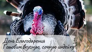 Ароматная нежная индейка!!! Очень важные моменты в приготовлении!!!