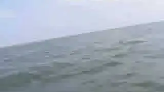 Skerry Sailing