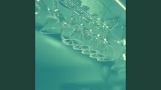 Annual Parties (Memories)