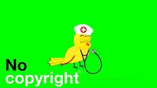 Tuni chidiya green screen video no copyright 6 bird cartoon green screen bird green screen cartoon