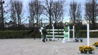 Linda Bratomi e Athene ( kwpn 2005 Ovidius x Holland)