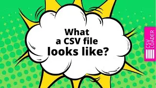 What a CSV file looks like?