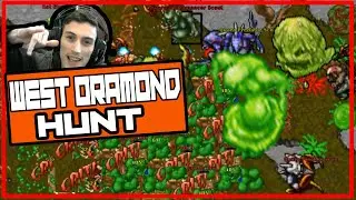 TIBIA - WEST ORAMOND HUNT - TALDOEDRAO