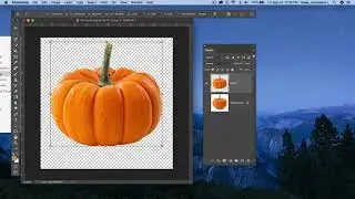 Photoshop CC 2020 -Scale or Transform Commands