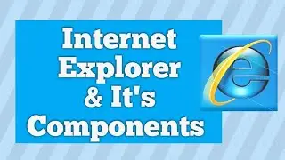 Web Browser Internet Explorer & its components in Hindi/ वेब ब्राउज़र इंटरनेट एक्सपलोरेर के घटक।