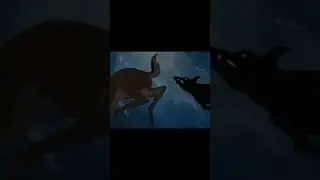 Bambi saves Feline....