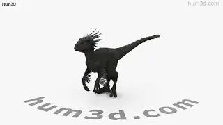 Raptor 3D model by 3DModels.org