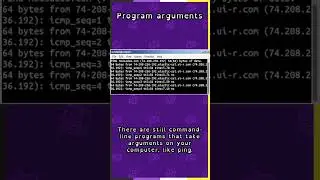 Program arguments in C++ 