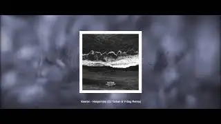 Valeron - Hesperides (DJ Tarkan & V-Sag Remix)