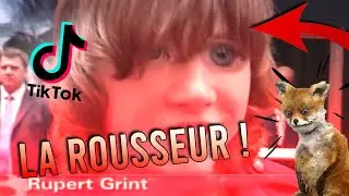 Si la Première d'Harry Potter était doublé en français (Compilation Tik Tok)